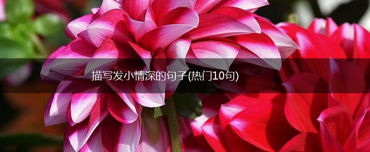 描写发小情深的句子(热门10句),第1张