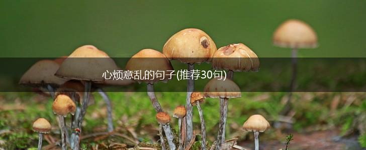 心烦意乱的句子(推荐30句),第1张