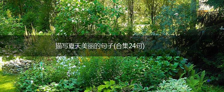 描写夏天美丽的句子(合集24句),第1张