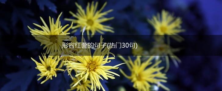 形容红薯的句子(热门30句),第1张