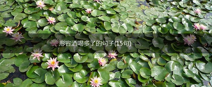 形容酒喝多了的句子(15句),第1张
