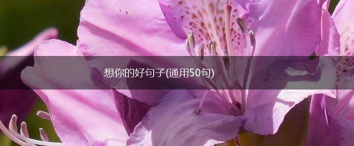 想你的好句子(通用50句),第1张