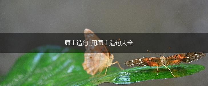原主造句_用原主造句大全,第1张 原主造句_用原主造句大全,第1张