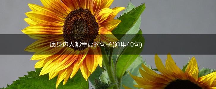 愿身边人都幸福的句子(通用40句),第1张