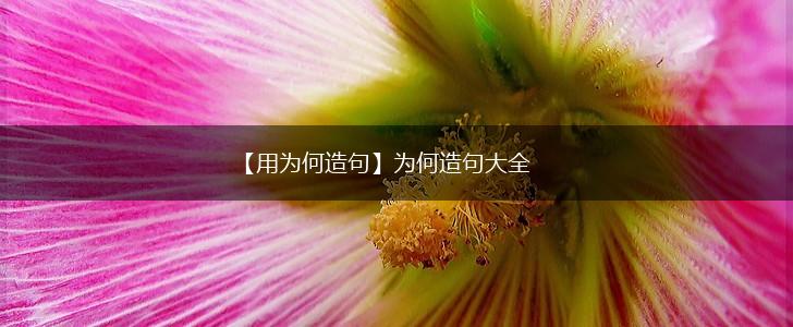 【用为何造句】为何造句大全,第1张 【用为何造句】为何造句大全,第1张