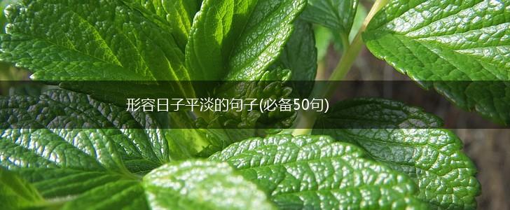 形容日子平淡的句子(必备50句),第1张