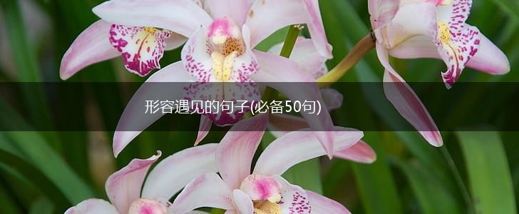 形容遇见的句子(必备50句),第1张