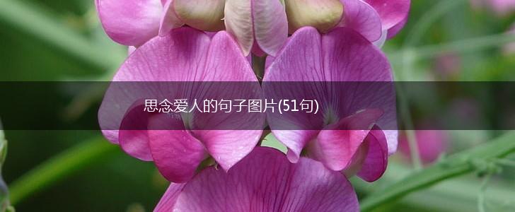 思念爱人的句子图片(51句),第1张