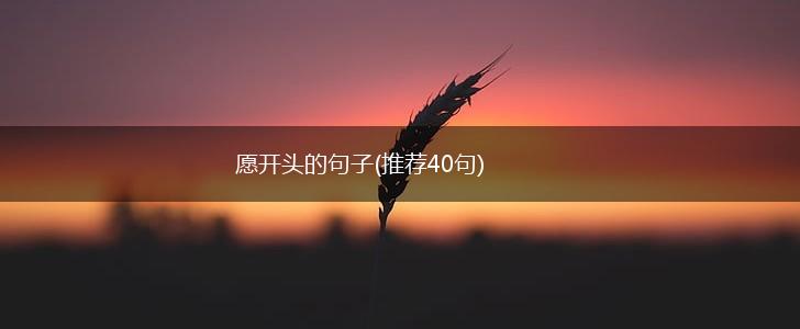 愿开头的句子(推荐40句),第1张