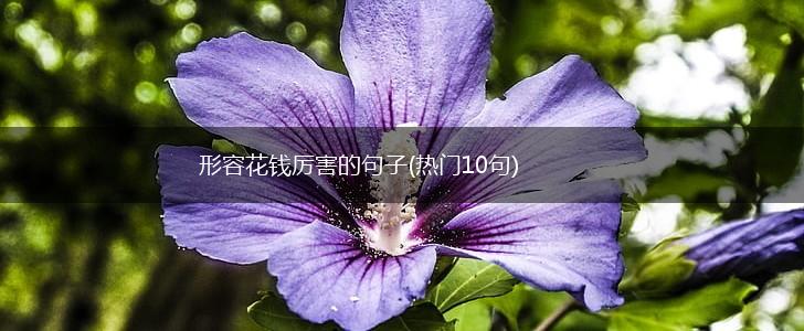 形容花钱厉害的句子(热门10句),第1张