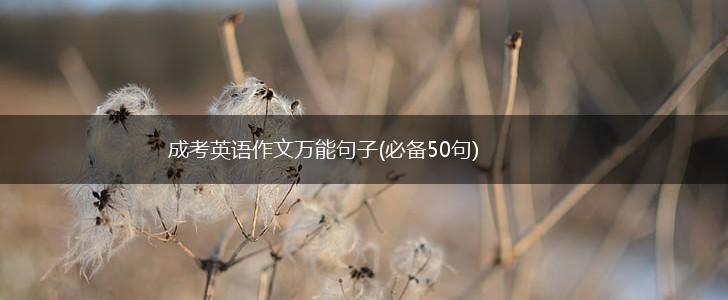 成考英语作文万能句子(必备50句),第1张