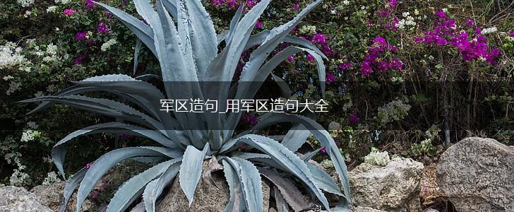 军区造句_用军区造句大全,第1张 军区造句_用军区造句大全,第1张