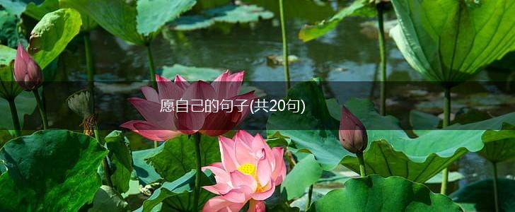 愿自己的句子(共20句),第1张