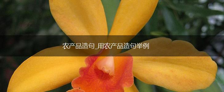 农产品造句_用农产品造句举例,第1张