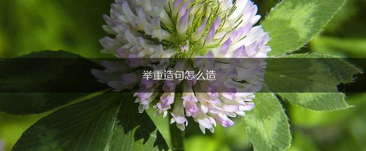 举重造句怎么造,第1张 举重造句怎么造,第1张