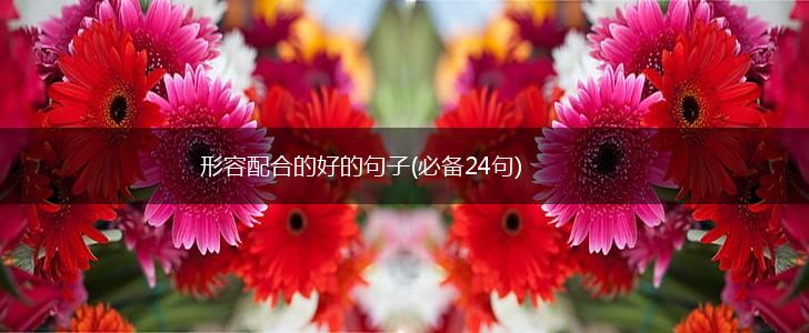形容配合的好的句子(必备24句),第1张