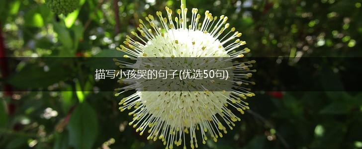 描写小孩哭的句子(优选50句),第1张