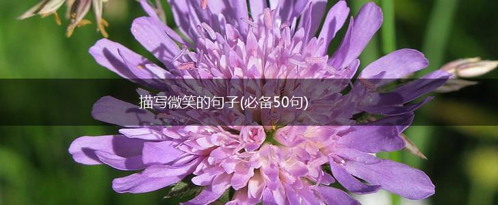 描写微笑的句子(必备50句),第1张