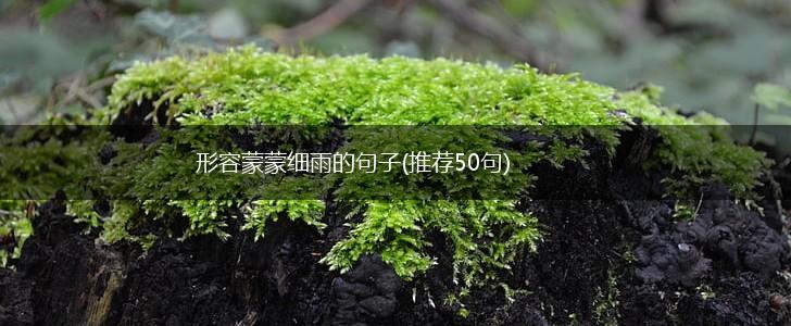 形容蒙蒙细雨的句子(推荐50句),第1张