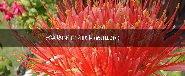形容热的句子和图片(通用10句),第1张