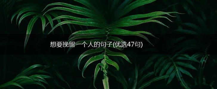 想要挽留一个人的句子(优选47句),第1张
