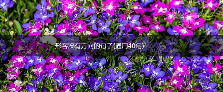 形容没有方向的句子(通用40句),第1张