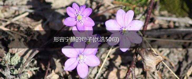 形容宁静的句子(优选50句),第1张