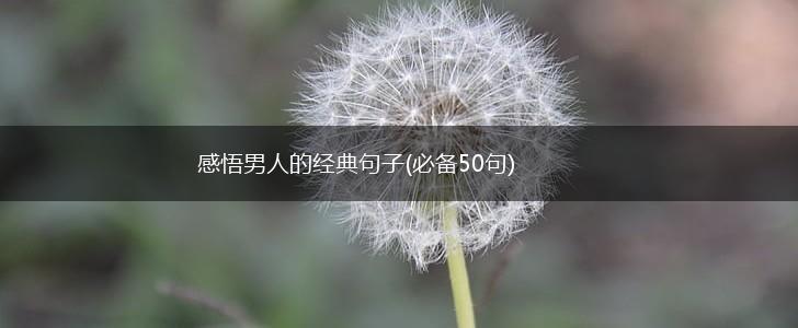 感悟男人的经典句子(必备50句),第1张