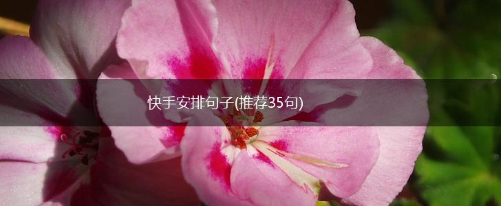 快手安排句子(推荐35句),第1张