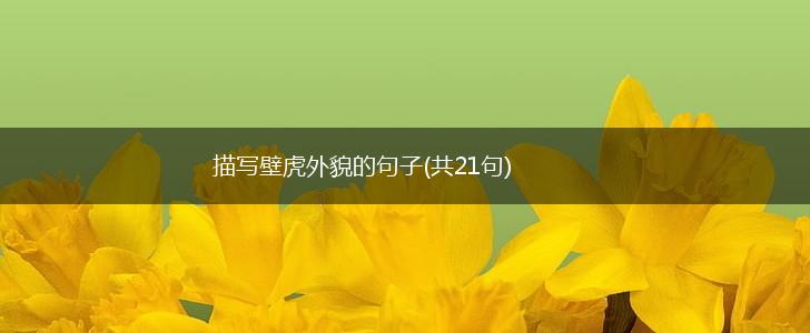 描写壁虎外貌的句子(共21句),第1张