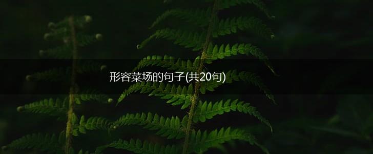 形容菜场的句子(共20句),第1张