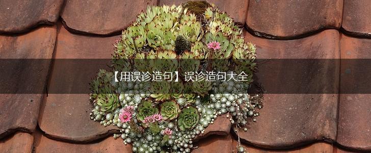 【用误诊造句】误诊造句大全,第1张 【用误诊造句】误诊造句大全,第1张