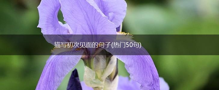 描写初次见面的句子(热门50句),第1张