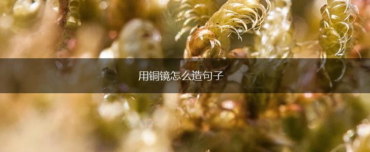 用铜镜怎么造句子,第1张 用铜镜怎么造句子,第1张