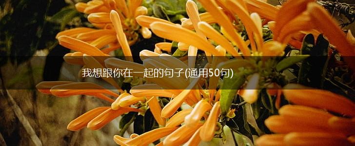 我想跟你在一起的句子(通用50句),第1张