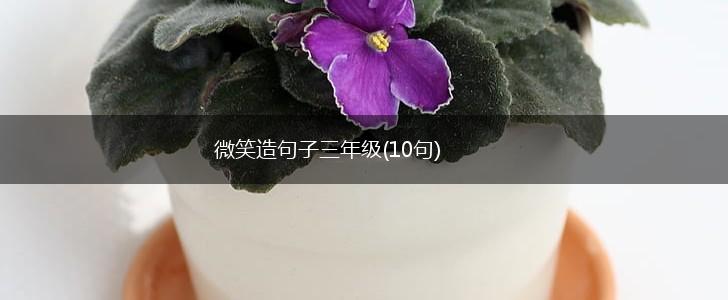 微笑造句子三年级(10句),第1张