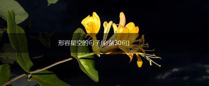 形容星空的句子(必备30句),第1张