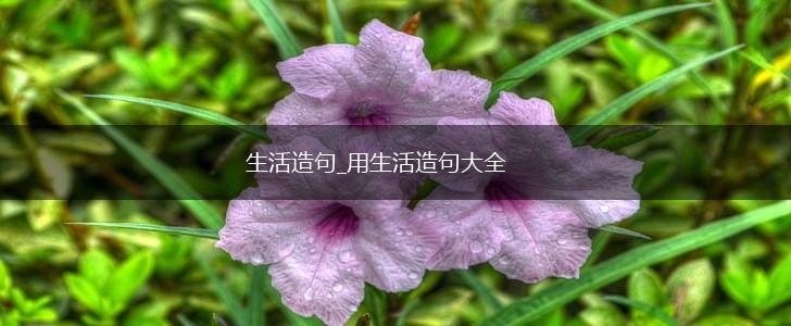 生活造句_用生活造句大全,第1张 生活造句_用生活造句大全,第1张