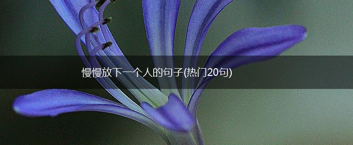 慢慢放下一个人的句子(热门20句),第1张