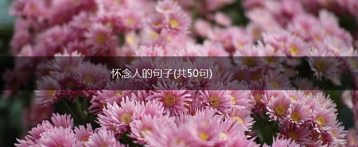 怀念人的句子(共50句),第1张