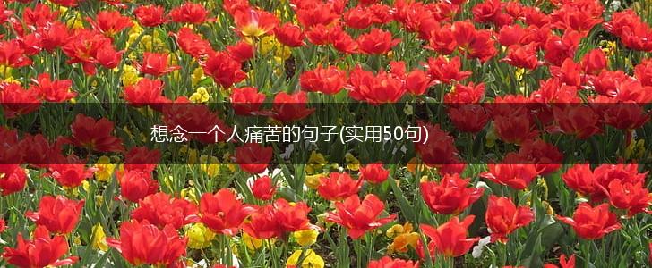 想念一个人痛苦的句子(实用50句),第1张