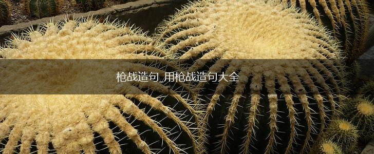 枪战造句_用枪战造句大全,第1张