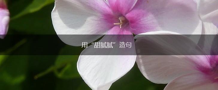 用“甜腻腻”造句,第1张 用“甜腻腻”造句,第1张