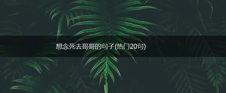 想念死去哥哥的句子(热门20句),第1张