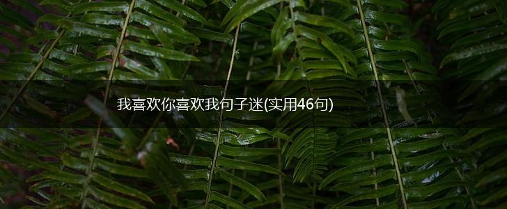 我喜欢你喜欢我句子迷(实用46句),第1张