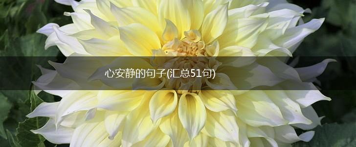 心安静的句子(汇总51句),第1张