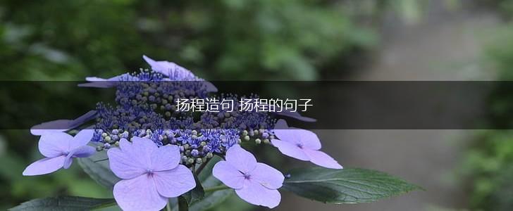 扬程造句 扬程的句子,第1张 扬程造句 扬程的句子,第1张