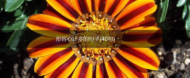 形容心计多的句子(40句),第1张