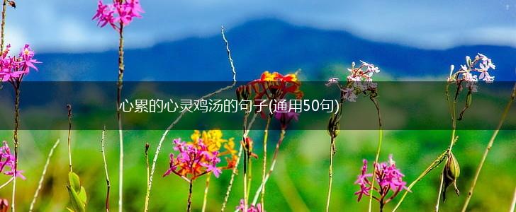 心累的心灵鸡汤的句子(通用50句),第1张