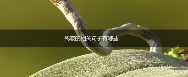 死寂的相关句子有哪些,第1张 死寂的相关句子有哪些,第1张